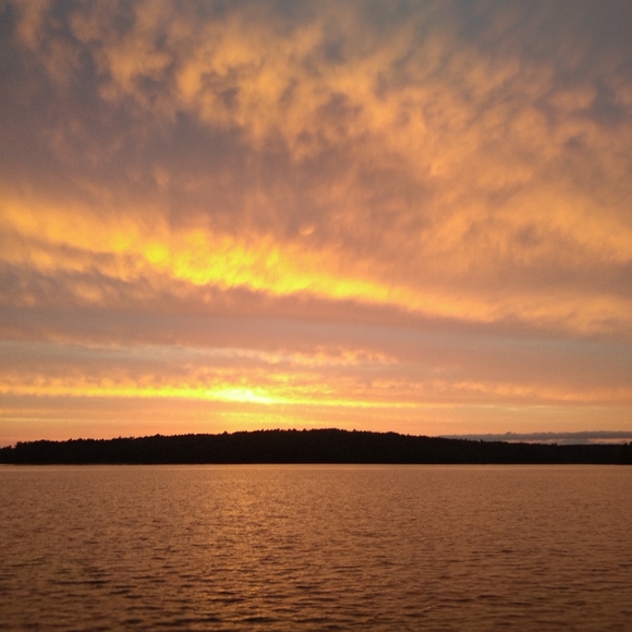 🌺 GRUPPO AMERICANO SEXY Linen HALTER CORAL FESTIVAL Sz M/L Rare Designer - Picture 13 of 16